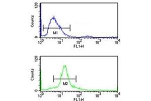 SSB antibody flow cytometry analysis of 293 cells (bottom histogram) compared to a negative control cell (top histogram). (SSB 抗体  (AA 66-96))