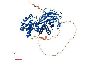 AlphaFold protein structure predicition of Mouse Recombinant Itpk1 Protein, UniprotID Q8BYN3