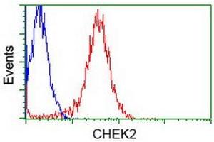 Flow Cytometry (FACS) image for anti-Checkpoint Kinase 2 (CHEK2) antibody (ABIN1497495)