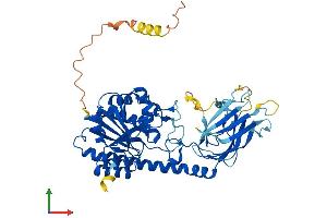 AlphaFold protein structure predicition of Mouse Recombinant B3galnt2 Protein, UniprotID Q8BG28