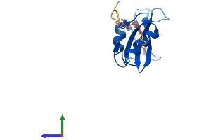 Protein Structure (PS) image for SH2 Domain Containing 1A (SH2D1A) (AA 1-126) protein (His tag) (ABIN7562684)