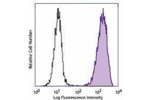 Flow Cytometry (FACS) image for anti-Epidermal Growth Factor Receptor (EGFR) antibody (ABIN2664938) (EGFR 抗体)