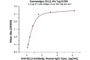 Immobilized Cynomolgus DLL3, His Tag (ABIN6992335) at 1 μg/mL (100 μL/well) can bind A Antibody, Human IgG1 with a linear range of 0. (DLL3 Protein (AA 27-490) (His tag))