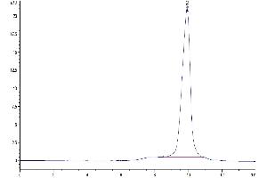 Size-exclusion chromatography-High Pressure Liquid Chromatography (SEC-HPLC) image for T Cell Immunoreceptor with Ig and ITIM Domains (TIGIT) (AA 22-141) protein (His tag) (ABIN7275726)