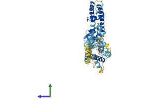 Protein Structure (PS) image for Potassium Voltage-Gated Channel, Subfamily G, Member 3 (KCNG3) (AA 1-433) protein (His tag) (ABIN7556536)