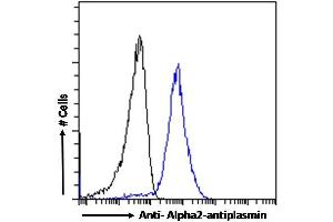 (ABIN334343) Flow cytometric analysis of paraformaldehyde fixed A431 cells (blue line), permeabilized with 0. (alpha 2 Antiplasmin 抗体  (Internal Region))