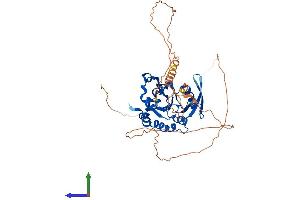 Protein Structure (PS) image for CTD (Carboxy-Terminal Domain, RNA Polymerase II, Polypeptide A) Small Phosphatase Like 2 (CTDSPL2) (AA 1-465) protein (His tag) (ABIN7558516)