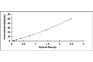 Typical standard curve (Lipocalin 1 ELISA 试剂盒)