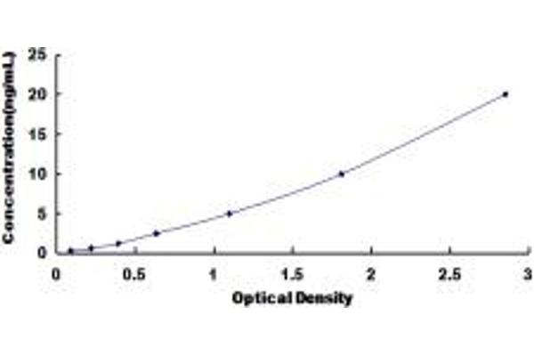 SLC39A6 ELISA 试剂盒