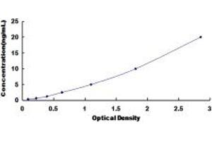 Typical standard curve (SLC39A6 ELISA 试剂盒)