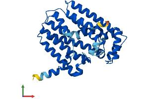 Protein Structure (PS) image for Geranylgeranyl Diphosphate Synthase 1 (GGPS1) (AA 1-300) protein (His tag) (ABIN7547977)
