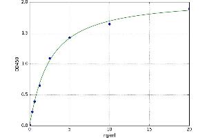Aldo-Keto Reductase Family 1, Member B1 (Aldose Reductase) (AKR1B1) ELISA Kit
