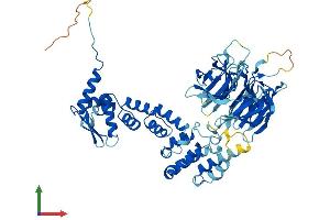 Protein Structure (PS) image for Ectodermal-Neural Cortex 1 (With BTB-Like Domain) (ENC1) (AA 1-589) protein (His tag) (ABIN7547382)