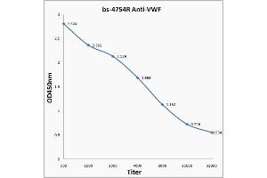 Antigen: 0. (VWF 抗体  (AA 351-450))