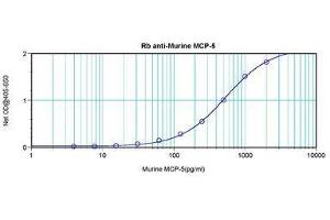 Image no. 3 for anti-Chemokine (C-C Motif) Ligand 12 (Ccl12) antibody (ABIN465845) (Ccl12 抗体)