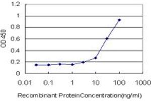 ELISA image for anti-Proteasome (Prosome, Macropain) Subunit, beta Type, 6 (PSMB6) (AA 1-239) antibody (ABIN562481)