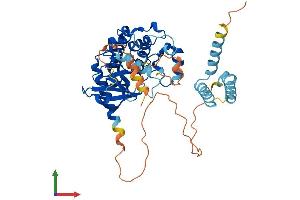 Protein Structure (PS) image for serine/threonine Kinase 24 (STK24) (AA 1-443) protein (His tag) (ABIN7555605)