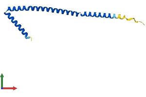 Protein Structure (PS) image for MEF2B Neighbor (MEF2BNB) (AA 1-120) protein (His tag) (ABIN7561059)