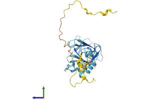Protein Structure (PS) image for FSHD Region Gene 1 (FRG1) (AA 1-258) protein (His tag) (ABIN7556798)