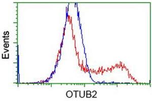HEK293T cells transfected with either RC209650 overexpress plasmid (Red) or empty vector control plasmid (Blue) were immunostained by anti-OTUB2 antibody (ABIN2453408), and then analyzed by flow cytometry. (OTUB2 抗体)
