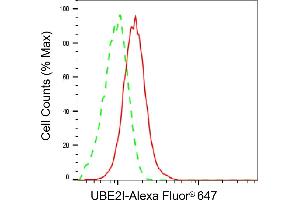 Flow cytometric analysis of UBE2I expression in HepG2 cells using UBE2I antibody (ABIN7800747), 1:2,000). (Recombinant UBE2I 抗体)