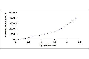 Typical standard curve (CRP ELISA 试剂盒)