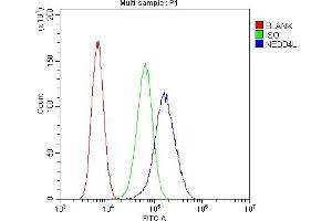 Flow Cytometry analysis of U20S cells using anti-NEDD4-2 antibody (ABIN5693274). (NEDD4-2 抗体  (AA 703-975))