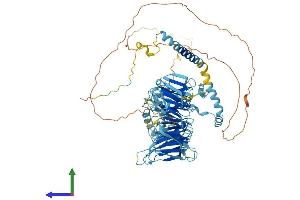 AlphaFold protein structure predicition of Human Recombinant EIF3B Protein, UniprotID P55884