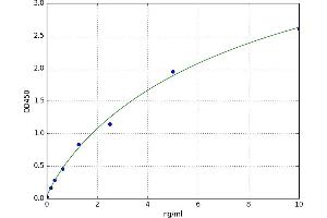 tyrosine Kinase with Immunoglobulin-Like and EGF-Like Domains 1 (TIE1) ELISA Kit