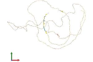 Protein Structure (PS) image for CTF8, Chromosome Transmission Fidelity Factor 8 (CHTF8) (AA 1-524) protein (His tag) (ABIN7546815)