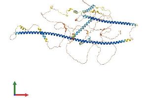 AlphaFold protein structure predicition of Human Recombinant TRAK1 Protein, UniprotID Q9UPV9