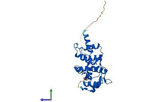 AlphaFold protein structure predicition of Human Recombinant DCUN1D5 Protein, UniprotID Q9BTE7