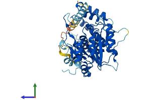 Protein Structure (PS) image for UDP-GlcNAc:betaGal beta-1,3-N-Acetylglucosaminyltransferase 8 (B3GNT8) (AA 1-389) protein (His tag) (ABIN7559735)