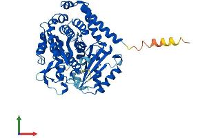Protein Structure (PS) image for Tubulin, beta 1 (TUBB1) (AA 1-451) protein (His tag) (ABIN7561944)