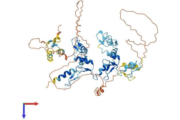 ZNF382 Protein (AA 1-550) (His tag)