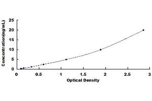 Typical standard curve (QPRT ELISA 试剂盒)