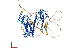 Protein Structure (PS) image for Pleckstrin Homology Domain Containing, Family G (With RhoGef Domain) Member 6 (PLEKHG6) (AA 1-790) protein (His tag) (ABIN7555007)