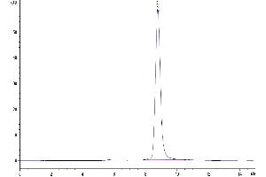 Size-exclusion chromatography-High Pressure Liquid Chromatography (SEC-HPLC) image for Interleukin 18 Receptor Accessory Protein (IL18RAP) (AA 20-356) protein (His tag) (ABIN7274980)