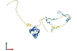 AlphaFold protein structure predicition of Human Recombinant RCAN3 Protein, UniprotID Q9UKA8
