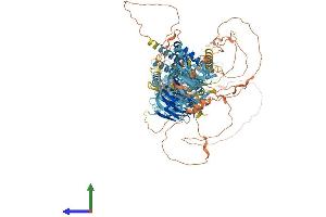Protein Structure (PS) image for SREBF chaperone (SCAP) (AA 1-1276) protein (His tag) (ABIN7564045)