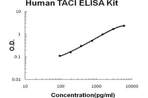 ELISA image for Tumor Necrosis Factor Receptor Superfamily, Member 13B (TNFRSF13B) ELISA Kit (ABIN6720294)