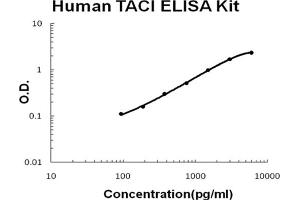 Human TNFRSF13B/TACI Accusignal ELISA Kit Human TNFRSF13B/TACI AccuSignal ELISA Kit standard curve. (TACI ELISA 试剂盒)