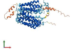 Protein Structure (PS) image for Solute Carrier Family 17 (Anion/Sugar Transporter), Member 4 (SLC17A4) (AA 1-492) protein (His tag) (ABIN7557482)