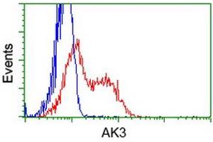 HEK293T cells transfected with either RC204408 overexpress plasmid (Red) or empty vector control plasmid (Blue) were immunostained by anti-AK3 antibody (ABIN2452715), and then analyzed by flow cytometry. (Adenylate Kinase 3 抗体)