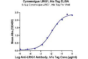 ELISA image for Leucine-Rich Repeats and Immunoglobulin-Like Domains 1 (Lrig1) (AA 34-792) protein (His tag) (ABIN7275204)