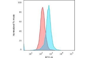 Flow Cytometric Analysis of PFA-fixed K562 cells using Calponin-1 Mouse Monoclonal Antibody (CALP ) followed by Goat anti-Mouse IgG-CF488 (Blue); Isotype Control (Red). (CNN1 抗体)