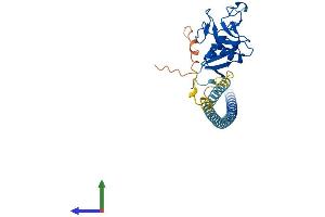 Protein Structure (PS) image for C-Type Lectin Domain Family 10, Member A (CLEC10A) (AA 1-316) protein (His tag) (ABIN7546557)