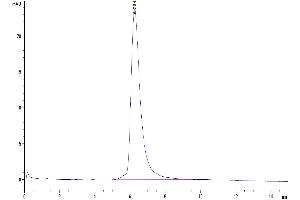 Size-exclusion chromatography-High Pressure Liquid Chromatography (SEC-HPLC) image for Sialic Acid Binding Ig-Like Lectin 10 (SIGLEC10) (AA 17-546) protein (His tag) (ABIN7275592)