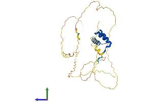 Protein Structure (PS) image for Mesenchyme Homeobox 2 (MEOX2) (AA 1-304) protein (His tag) (ABIN7549286)