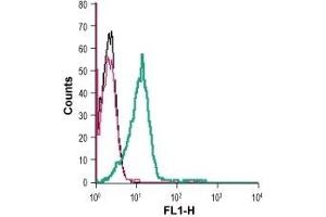 Cell surface detection of GPR132 in live intact human THP-1 monocytic leukemia cells: (black line) Cells. (G Protein-Coupled Receptor 132 抗体  (Extracellular))